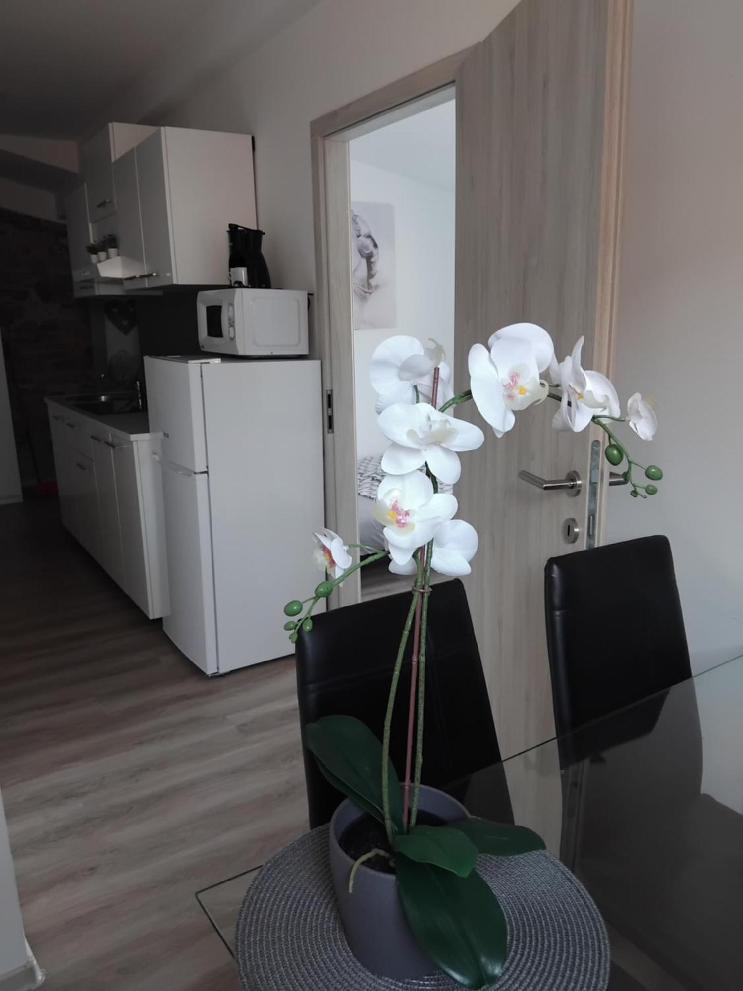 Apartmaja Eva&pia Koper